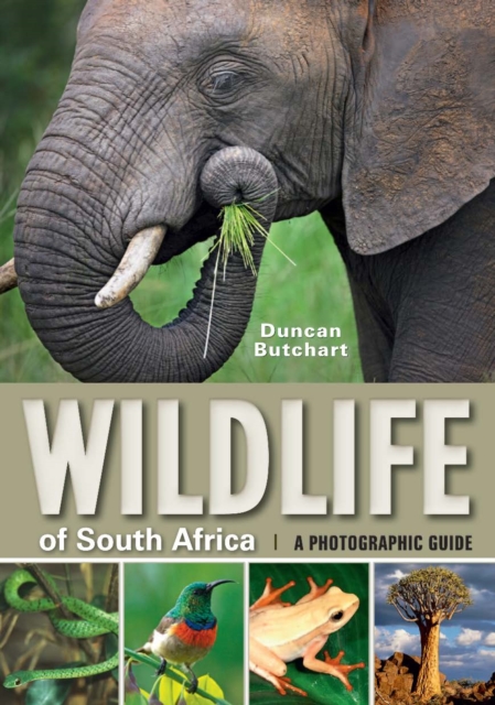 Wildlife of South Africa : A Photographic Guide, EPUB eBook