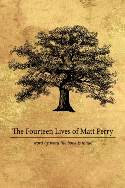 The Fourteen Lives of Matt Perry, Hardback Book