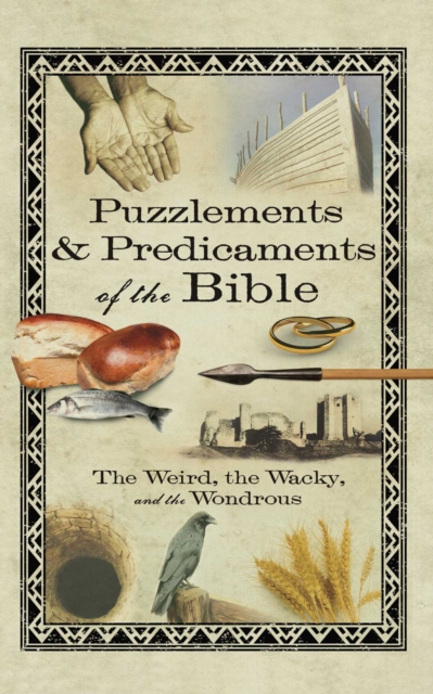 Puzzlements & Predicaments of the Bible : The Weird, the Wacky, and the Wondrous, EPUB eBook