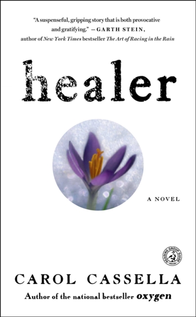 Healer : A Novel, EPUB eBook