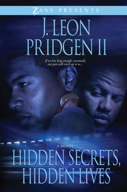 Hidden Secrets, Hidden Lives, EPUB eBook