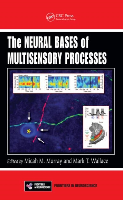 The Neural Bases of Multisensory Processes, Hardback Book