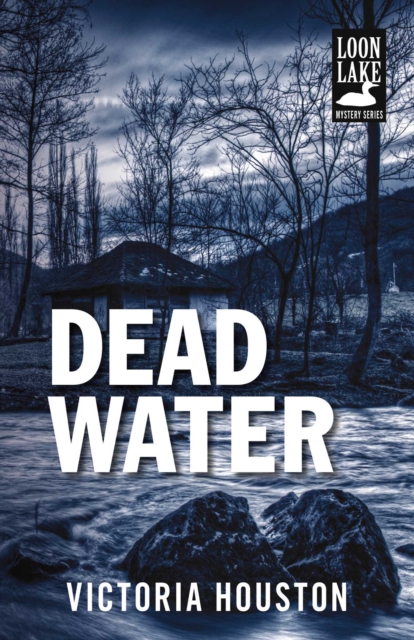 Dead Water, EPUB eBook