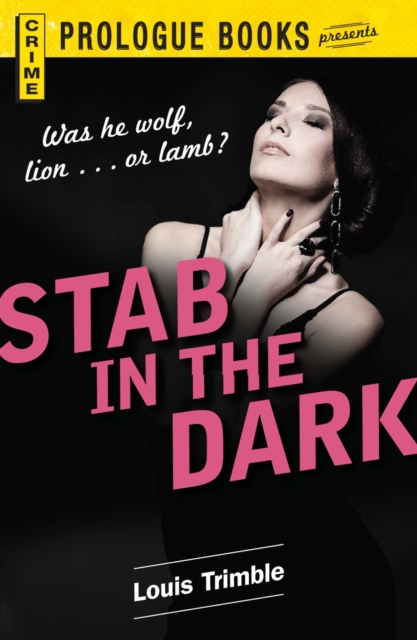 Stab in the Dark, EPUB eBook