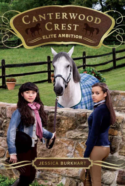 Elite Ambition, EPUB eBook