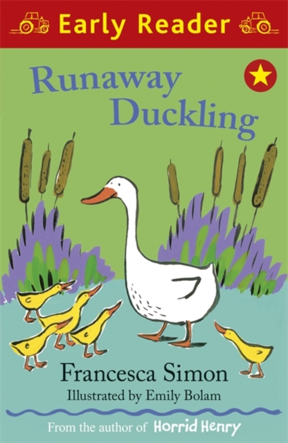 Runaway Duckling, EPUB eBook