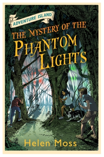 Adventure Island: The Mystery of the Phantom Lights : Book 14, Paperback / softback Book