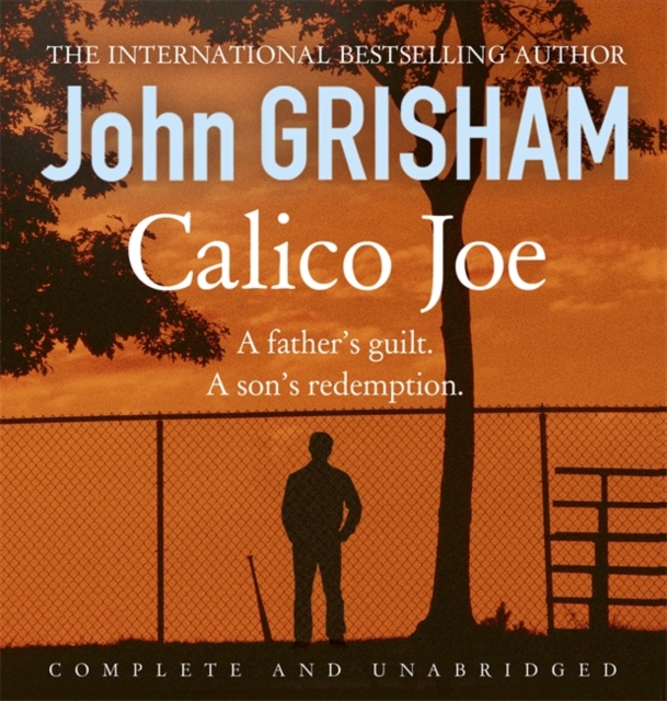 Calico Joe : An unforgettable novel about childhood, family, conflict and guilt, and forgiveness, CD-Audio Book