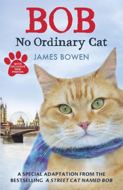 Bob : No Ordinary Cat, Paperback / softback Book