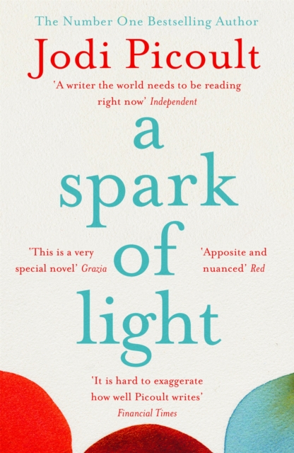 A Spark of Light : The heart-stopping must-read from No.1 Sunday Times Bestseller!, Paperback / softback Book