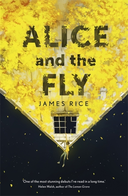 Alice and the Fly, Hardback Book