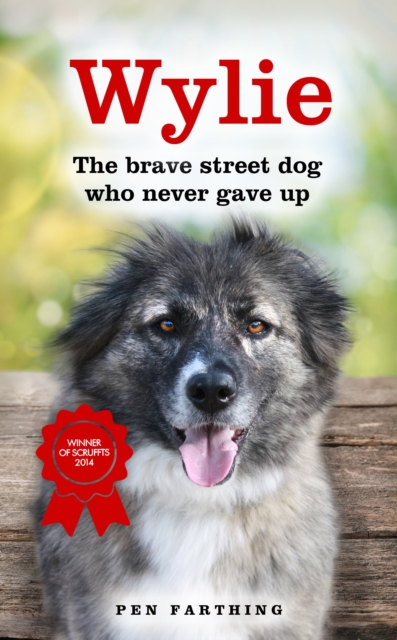 Wylie : The Brave Street Dog Who Never Gave Up, EPUB eBook