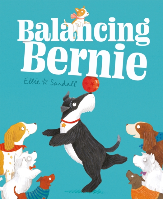 Balancing Bernie, Hardback Book