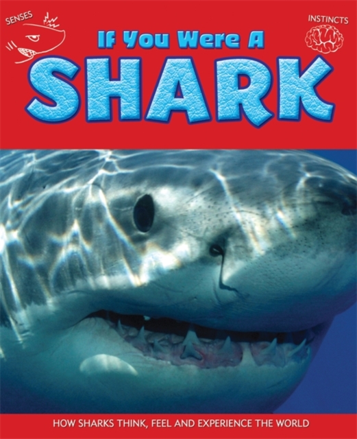 If You Were a Shark, Hardback Book