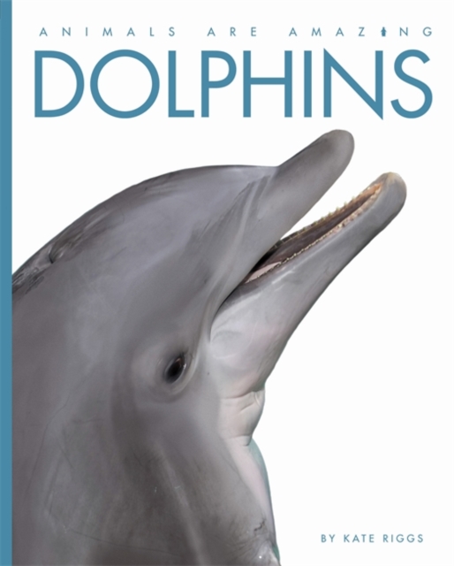 Dolphins, Hardback Book