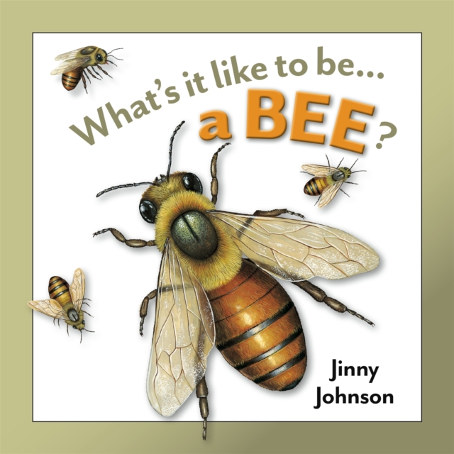 What's It Like to Be: A Bee?, Hardback Book