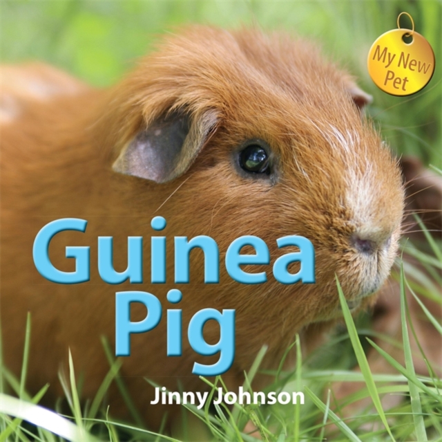 My New Pet: Guinea Pig, Hardback Book