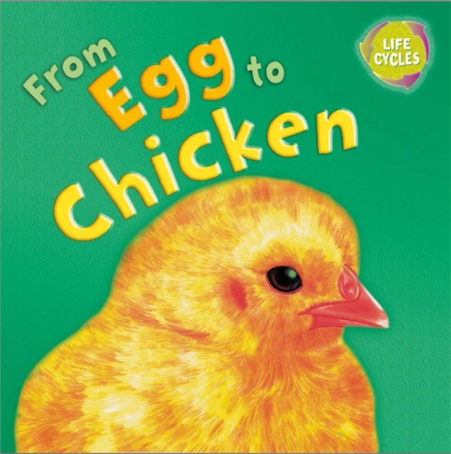 Lifecycles: From Egg To Chicken, Paperback / softback Book