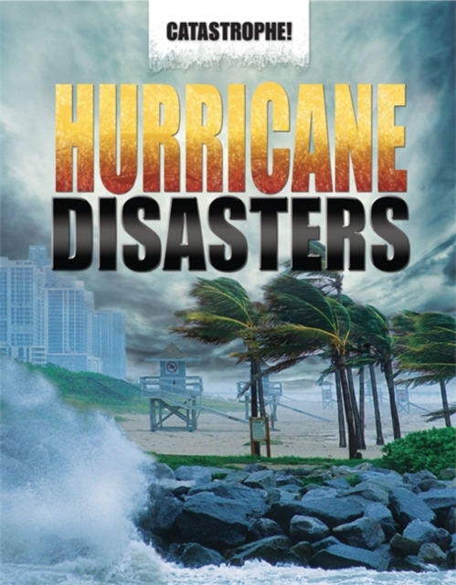 Hurricane Disasters, Paperback Book