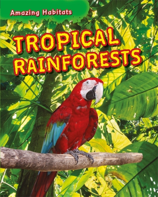 Amazing Habitats: Tropical Rainforests, Paperback / softback Book