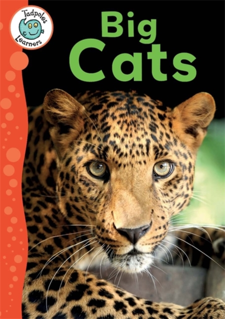 Tadpoles Learners: Big Cats, Hardback Book