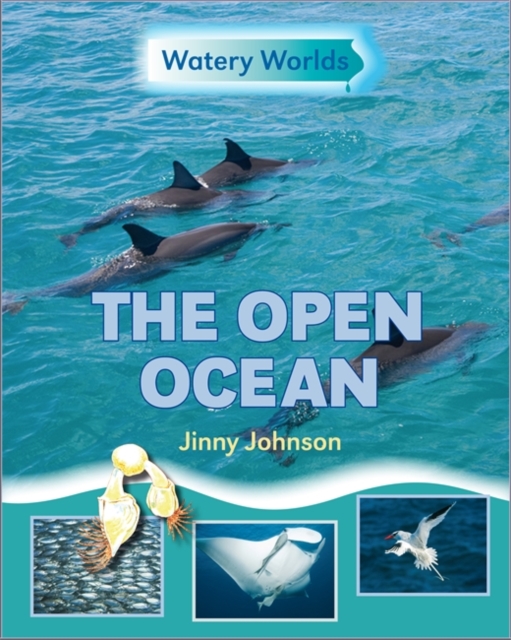 Watery Worlds: The Open Ocean, Paperback / softback Book