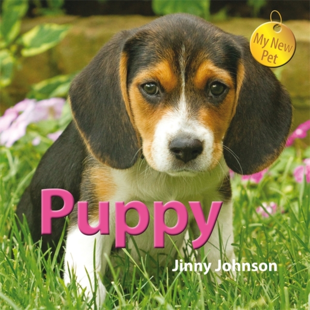 My New Pet: Puppy, Paperback / softback Book