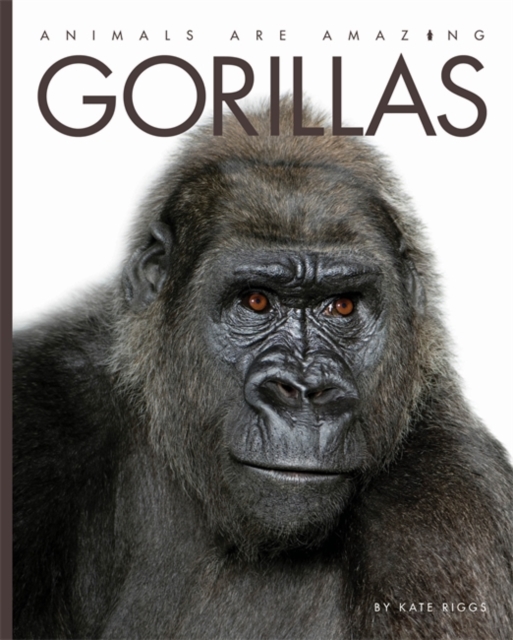 Animals Are Amazing: Gorillas, Paperback / softback Book