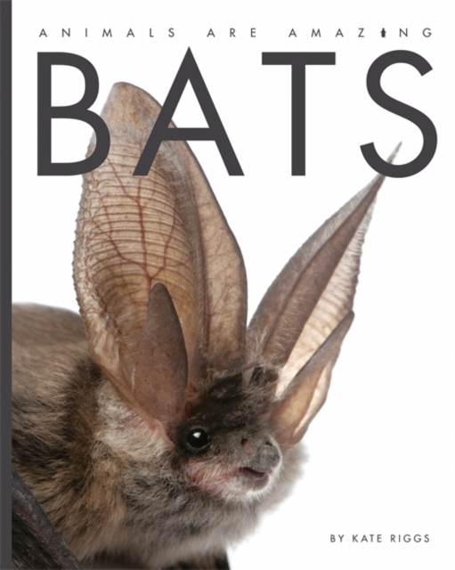 Animals Are Amazing: Bats, Hardback Book