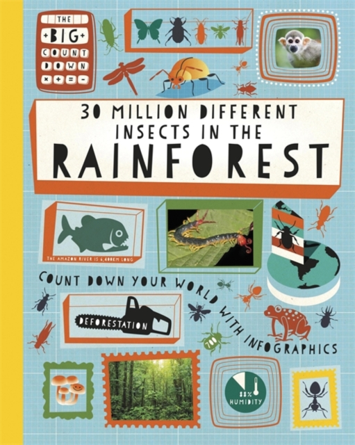 The Big Countdown: 30 Million Different Insects in the Rainforest, Paperback / softback Book