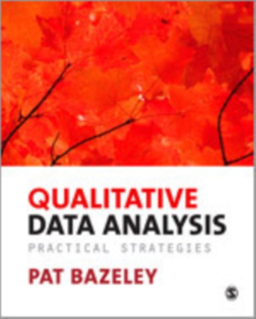 Qualitative Data Analysis : Practical Strategies, Mixed media product Book