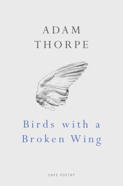 Birds With A Broken Wing, EPUB eBook