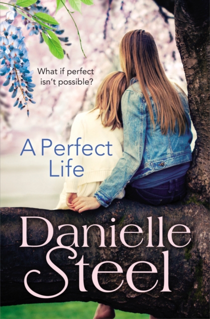 A Perfect Life, EPUB eBook