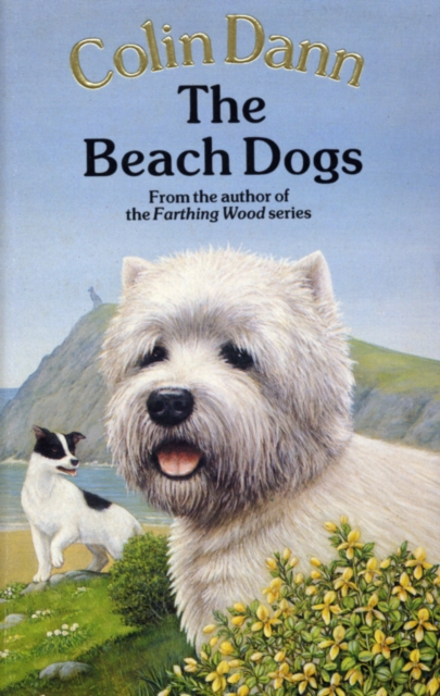The Beach Dogs, EPUB eBook