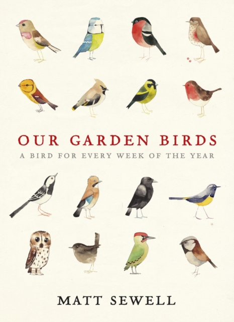 Our Garden Birds : a stunning illustrated guide to the birdlife of the British Isles, EPUB eBook