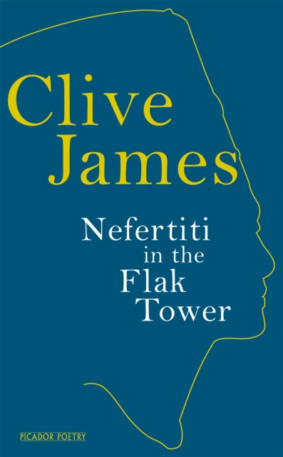 Nefertiti in the Flak Tower, Hardback Book
