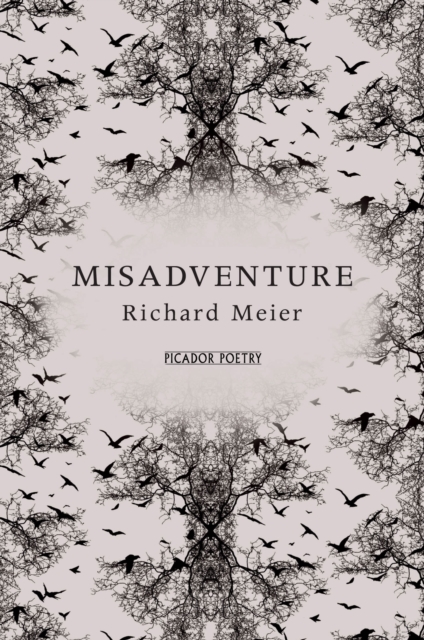 Misadventure, Paperback / softback Book