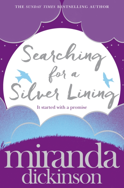 Searching for a Silver Lining, EPUB eBook