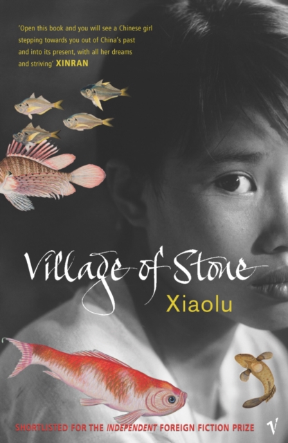 Village Of Stone, EPUB eBook