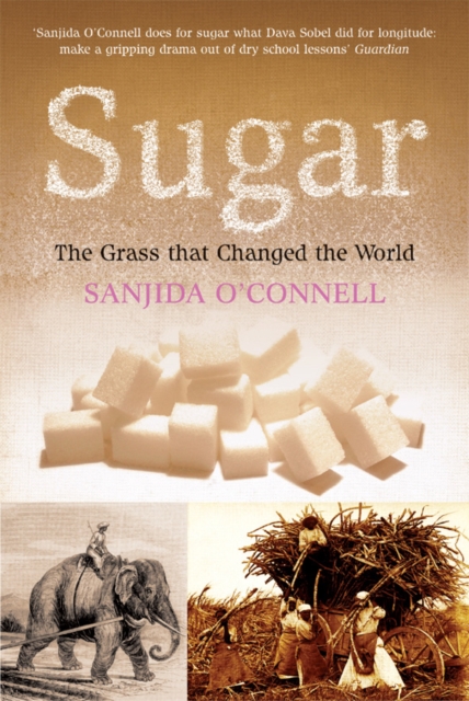 Sugar : The Grass that Changed the World, EPUB eBook