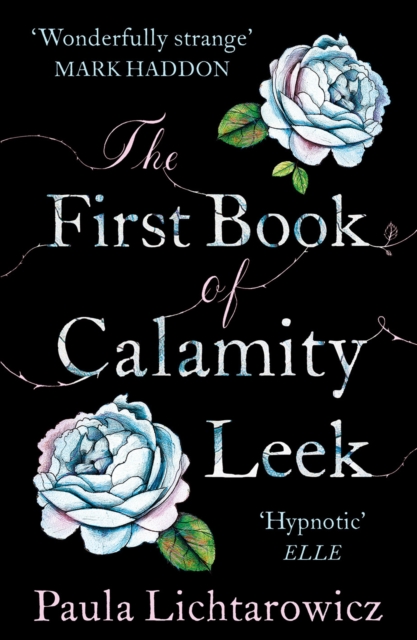 The First Book of Calamity Leek, EPUB eBook