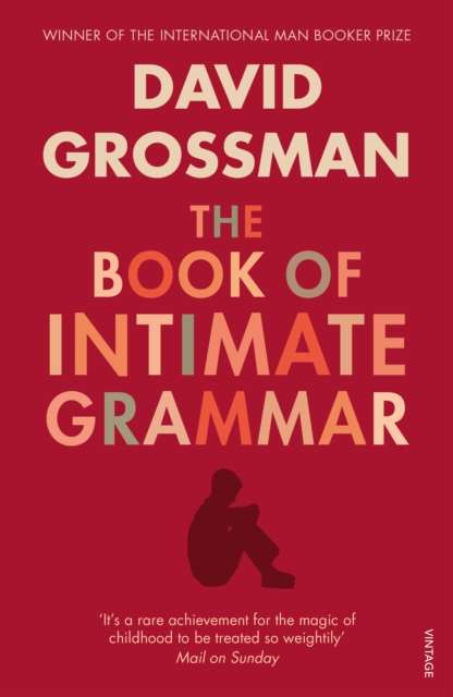 The Book Of Intimate Grammar, EPUB eBook