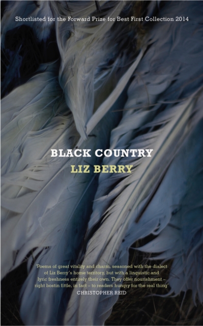 Black Country, EPUB eBook