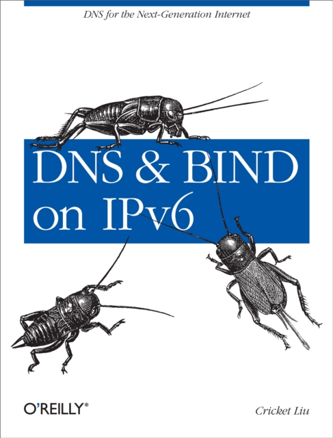 DNS and BIND on IPv6 : DNS for the Next-Generation Internet, EPUB eBook