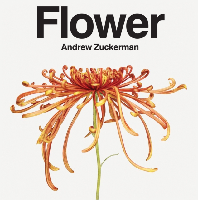 Flower, Hardback Book