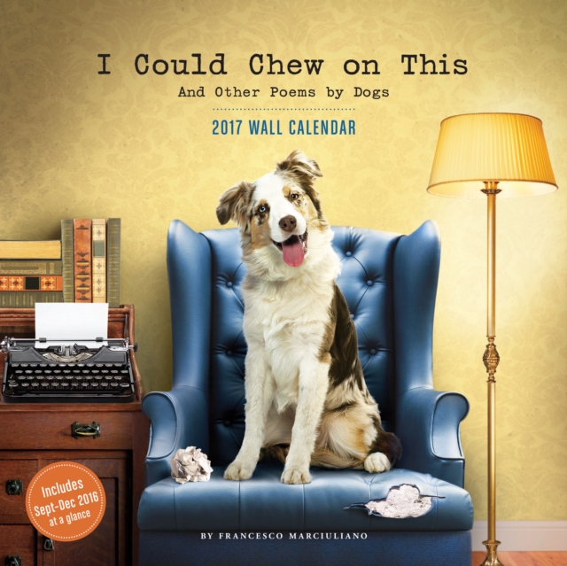 2017 Wall Calendar : I Could Chew on This, Calendar Book