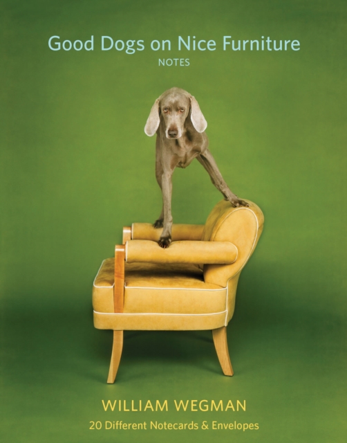 Good Dogs on Nice Furniture Notes : 20 Different Notecards & Envelopes, Cards Book
