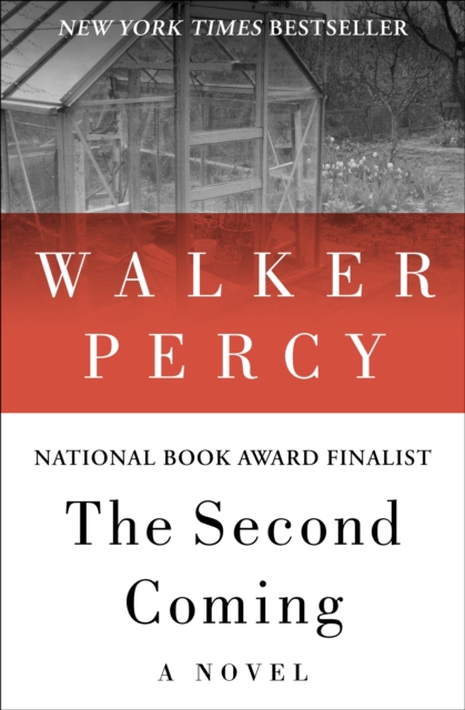 The Second Coming : A Novel, EPUB eBook