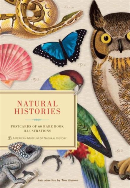 Natural Histories : Postcards of 60 Rare Book Illustrations, Multiple copy pack Book