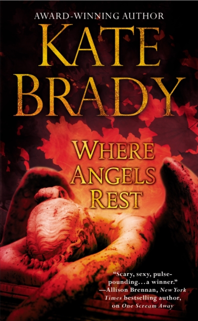 Where Angels Rest : Number 1 in series, Paperback / softback Book